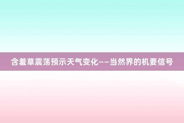 含羞草震荡预示天气变化——当然界的机要信号